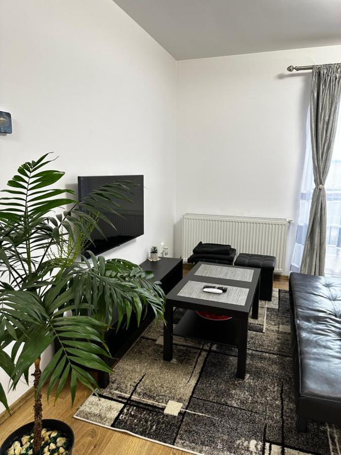 Apartament Elena Sibiu Ngoại thất bức ảnh