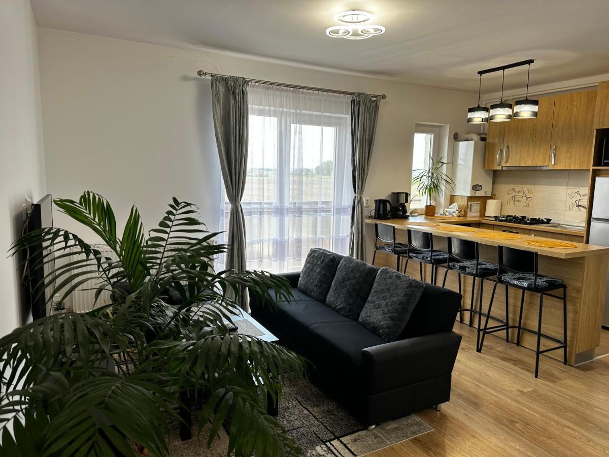 Apartament Elena Sibiu Ngoại thất bức ảnh